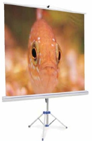 ecran rouleau 2.40m * 2.40m